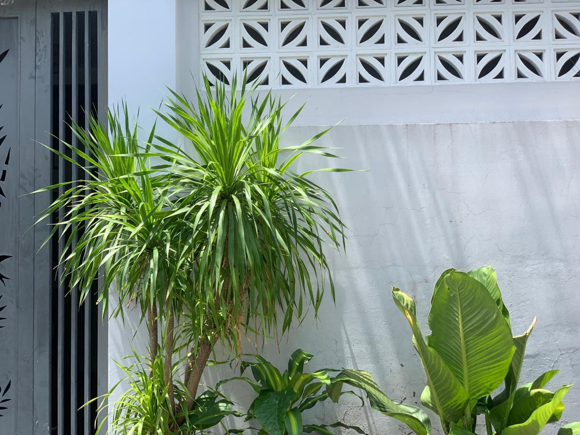 Tina House Apartment Da Nang Bagian luar foto